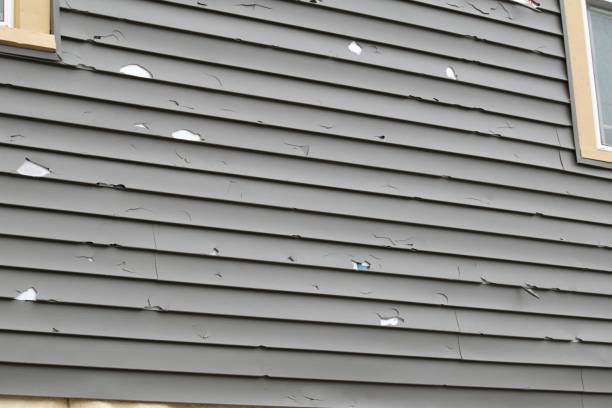 Best Custom Trim and Detailing for Siding  in Staic, CA